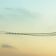Illustration for article titled Youve Never Seen Birds Fly Like This Before